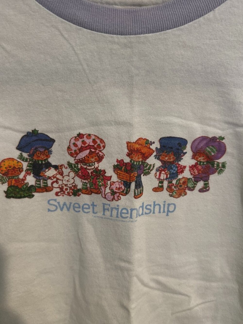 Vintage Strawberry Shortcake & Friends Purple Ringer Baby Tee Size XL